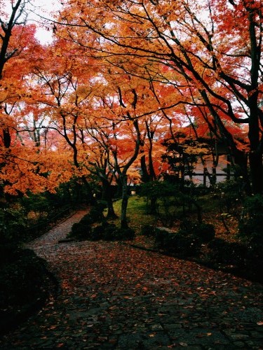 紅葉の常寂光寺